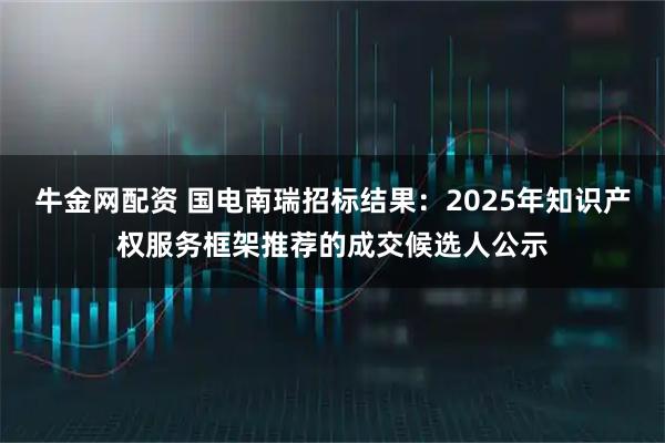 牛金网配资 国电南瑞招标结果：2025年知识产权服务框架推荐的成交候选人公示
